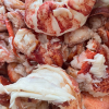 Cooked Lobster Meat (1lb)