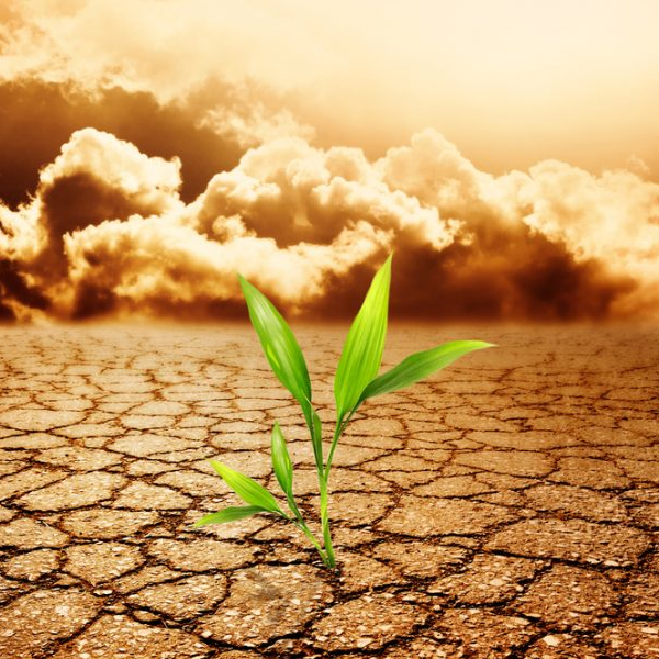 climate change on agriculture